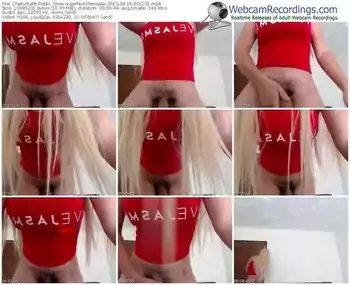 chaturbate-perfectshemalex-public-show-08_16_2015-20_12_31