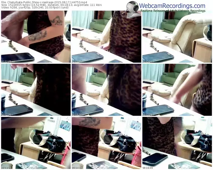 chaturbate-reelrage-public-show-08_17_2015-14_47_53