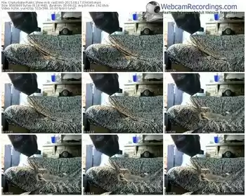 chaturbate-b_rad1993-public-show-08_17_2015-03_43_49