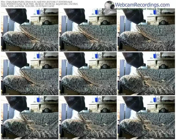 chaturbate-b_rad1993-public-show-08_17_2015-03_43_49