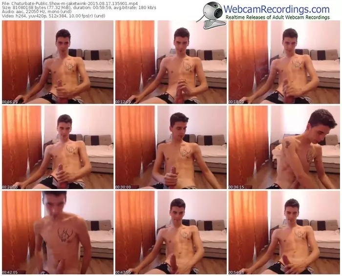 chaturbate-jaketwink-public-show-08_17_2015-13_59_01
