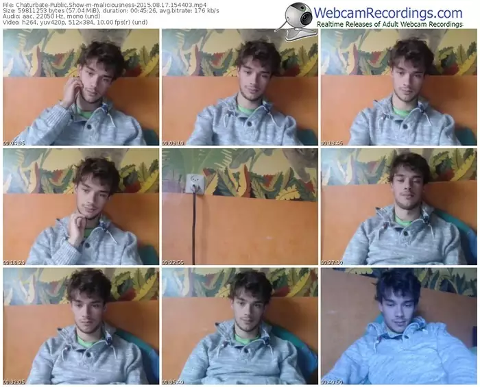 chaturbate-maliciousness-public-show-08_17_2015-15_44_03