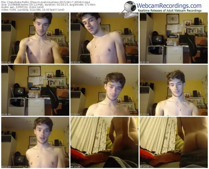 chaturbate-maliciousness-public-show-08_17_2015-20_54_10