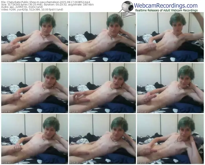 chaturbate-sexychameleon-public-show-08_17_2015-06_38_52