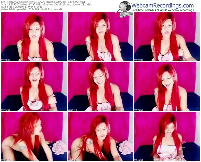 chaturbate-ebony10inchs-public-show-08_17_2015-08_07_53