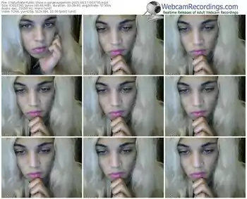 chaturbate-gorgeousgemini-public-show-08_17_2015-00_37_35