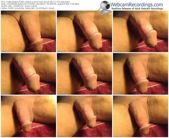 chaturbate-imurcunt-public-show-08_17_2015-07_12_46