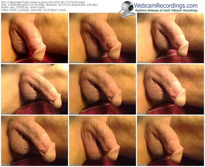 chaturbate-imurcunt-public-show-08_17_2015-07_22_42