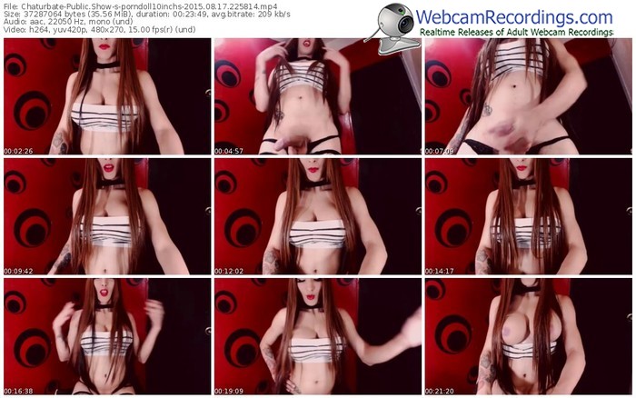 chaturbate-porndoll10inchs-public-show-08_17_2015-22_58_14