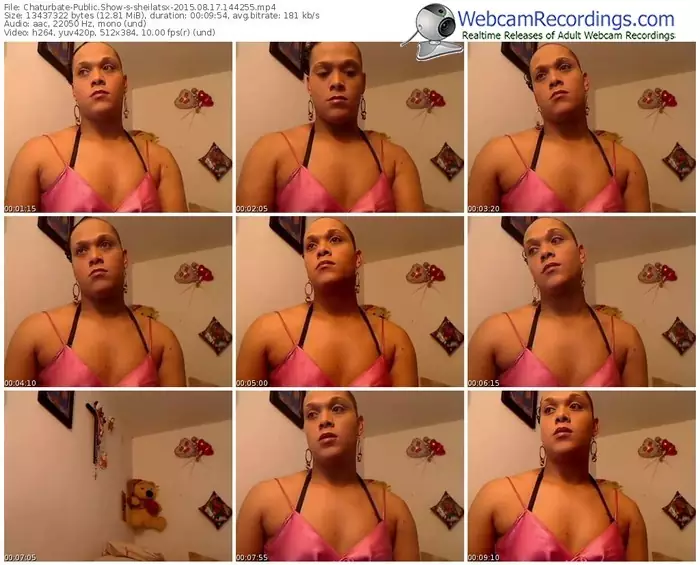 chaturbate-sheilatsx-public-show-08_17_2015-14_42_55