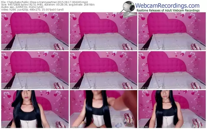 chaturbate-trannypartner-public-show-08_17_2015-00_42_43