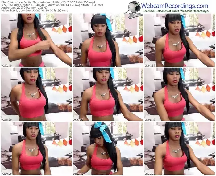 chaturbate-tsreally11ibig-public-show-08_17_2015-06_12_55