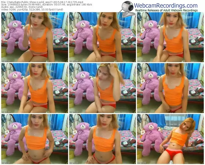 chaturbate-wild_ass27-public-show-08_17_2015-01_17_35