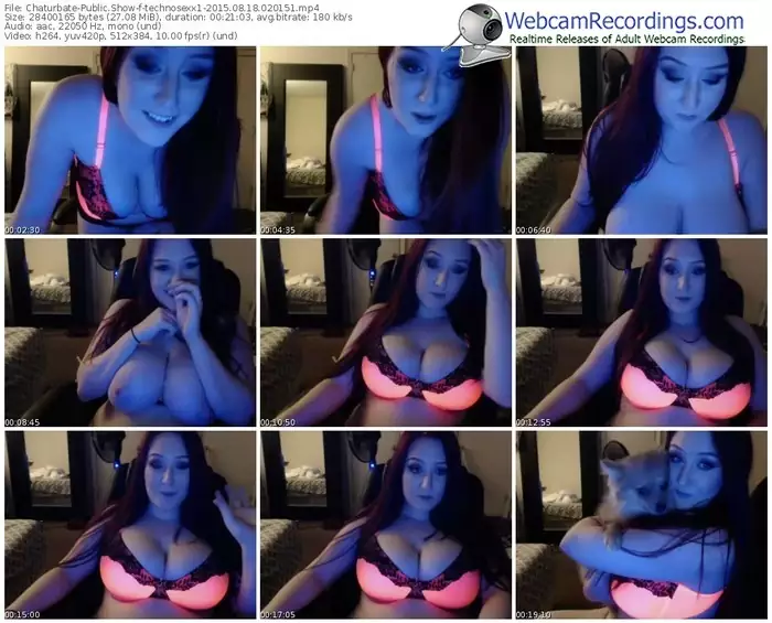 chaturbate-technosexx1-public-show-08_18_2015-02_01_51