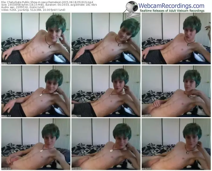 chaturbate-sexychameleon-public-show-08_18_2015-05_19_19