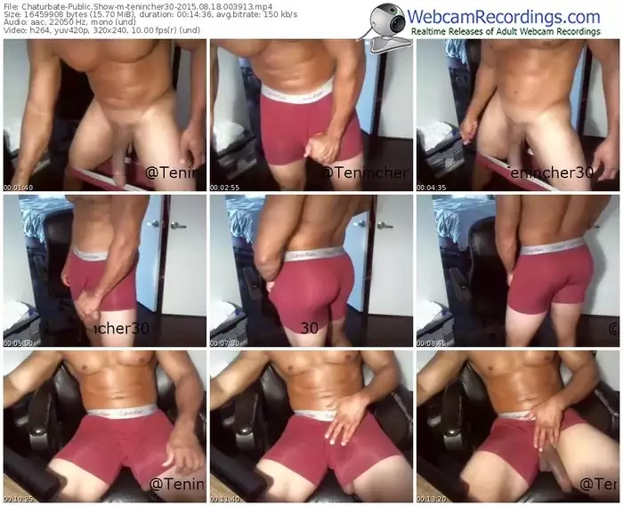 chaturbate-tenincher30-public-show-08_18_2015-00_39_13