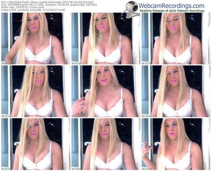 chaturbate-perfectshemalex-public-show-08_18_2015-04_22_18