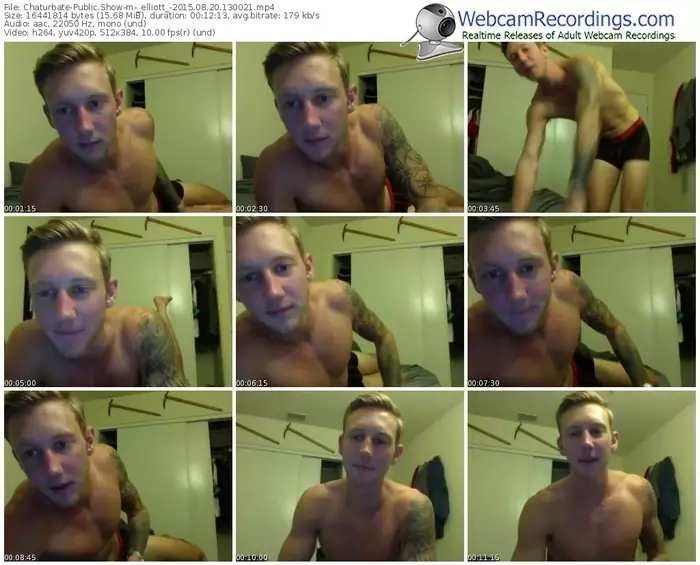 chaturbate-_elliott_-public-show-08_20_2015-13_00_21