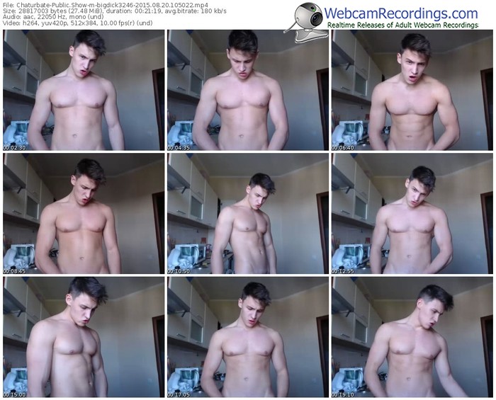 chaturbate-bigdick3246-public-show-08_20_2015-10_50_22