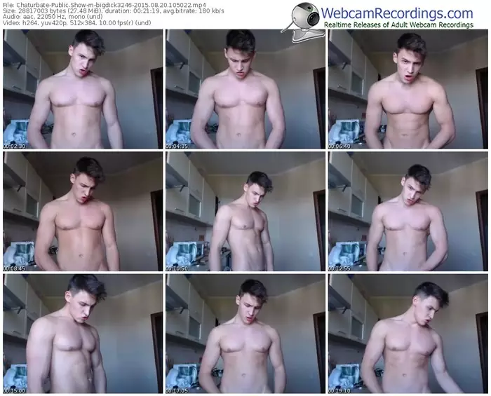 chaturbate-bigdick3246-public-show-08_20_2015-10_50_22