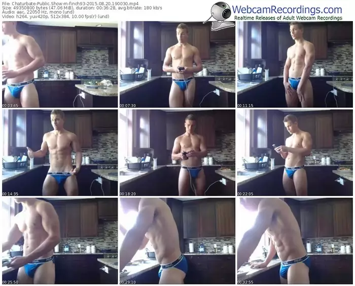 chaturbate-finch93-public-show-08_20_2015-19_00_30