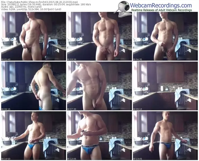 chaturbate-finch93-public-show-08_20_2015-21_20_33