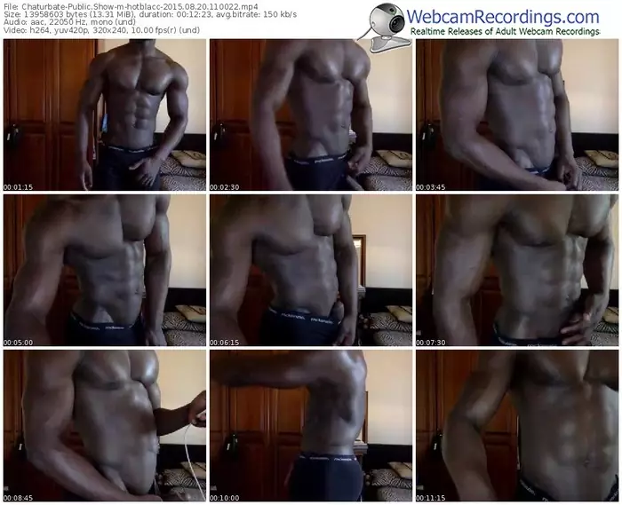 chaturbate-hotblacc-public-show-08_20_2015-11_00_22