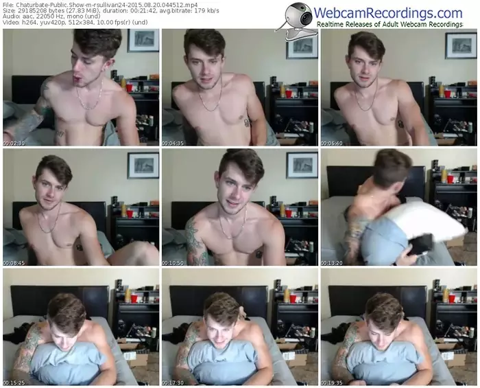 chaturbate-rsullivan24-public-show-08_20_2015-04_45_12