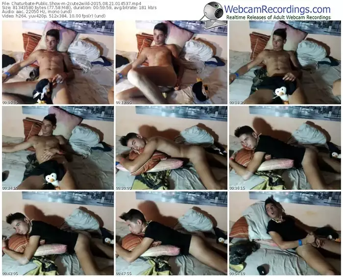 chaturbate-2cute2wild-public-show-08_21_2015-01_45_37