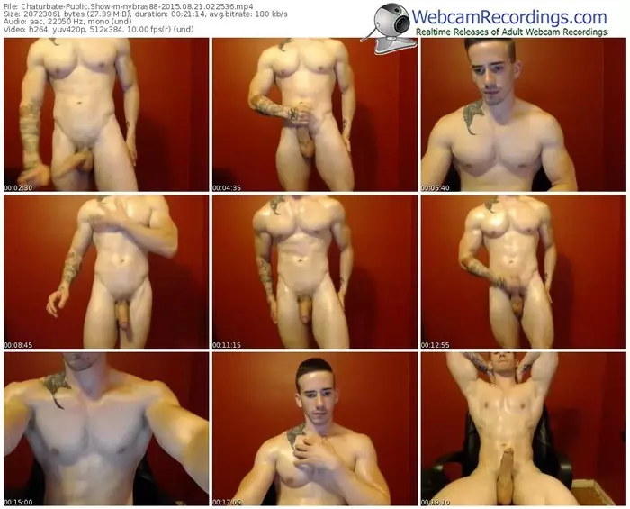 chaturbate-nybras88-public-show-08_21_2015-02_25_36