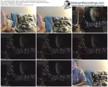 chaturbate-amber_wolve-public-show-08_27_2015-14_19_12