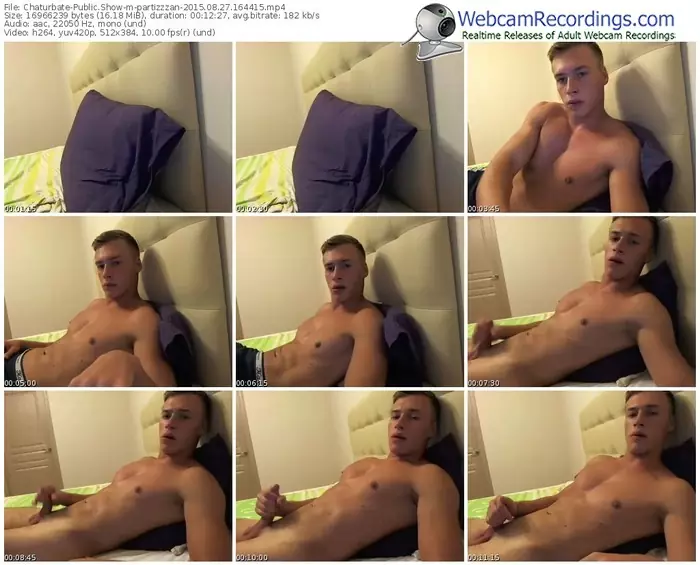 chaturbate-partizzzan-public-show-08_27_2015-16_44_15