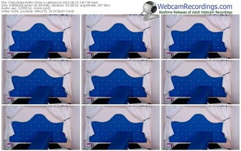 chaturbate-catbigcock-public-show-08_27_2015-14_17_36