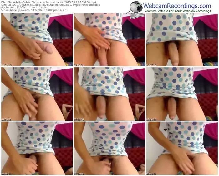 chaturbate-perfectshemalex-public-show-08_27_2015-15_52_38