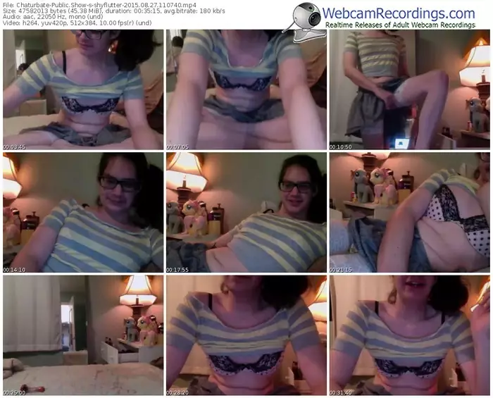 chaturbate-shyflutter-public-show-08_27_2015-11_07_40