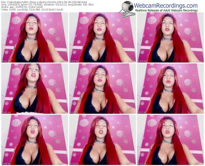 chaturbate-ebony10inchs-public-show-08_28_2015-02_52_48