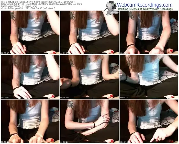chaturbate-flashnsparky-public-show-08_29_2015-11_19_44