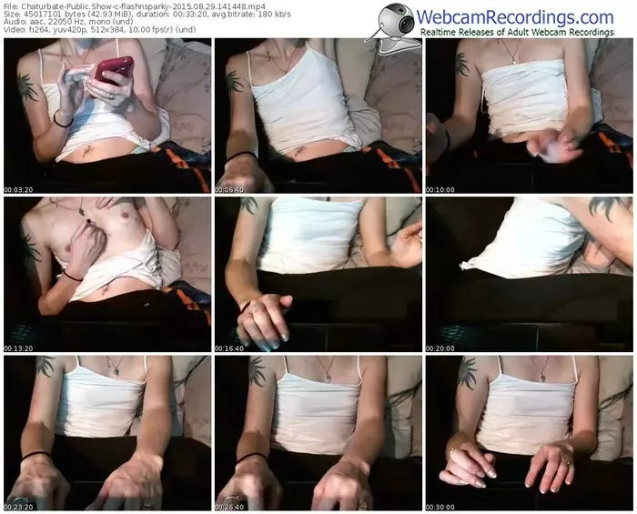 chaturbate-flashnsparky-public-show-08_29_2015-14_14_48