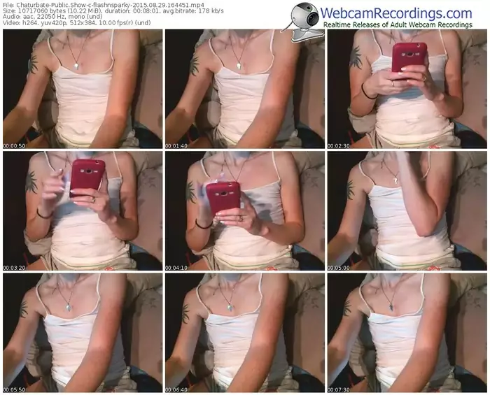 chaturbate-flashnsparky-public-show-08_29_2015-16_44_51