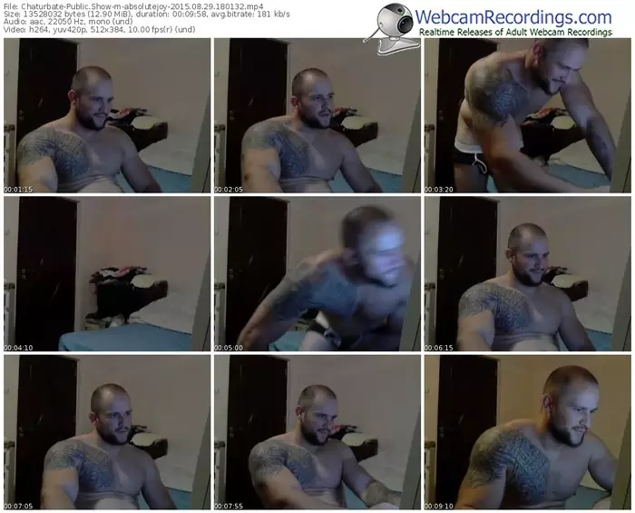 chaturbate-absolutejoy-public-show-08_29_2015-18_01_32