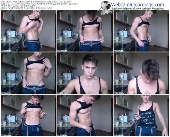chaturbate-bigdick3246-public-show-08_29_2015-13_31_27