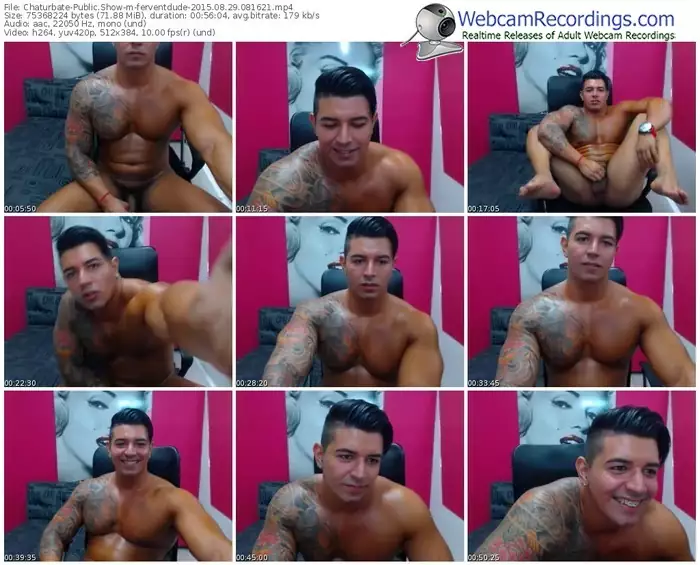 chaturbate-ferventdude-public-show-08_29_2015-08_16_21