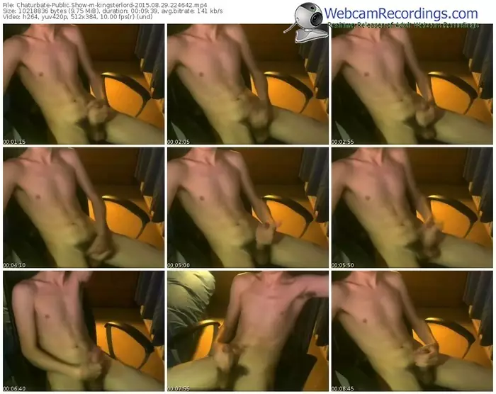 chaturbate-kingsterlord-public-show-08_29_2015-22_46_42