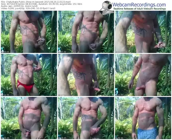 chaturbate-leewest-public-show-08_29_2015-11_01_23