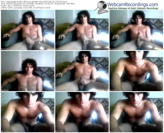 chaturbate-phoenixbg-public-show-08_29_2015-12_51_26