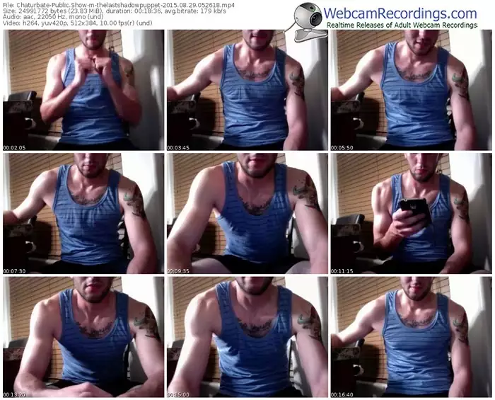 chaturbate-thelastshadowpuppet-public-show-08_29_2015-05_26_18