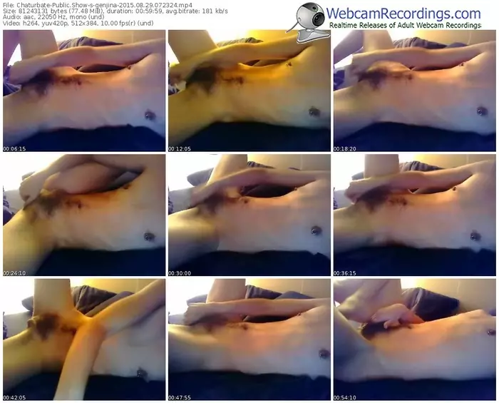 chaturbate-genjina-public-show-08_29_2015-07_23_24