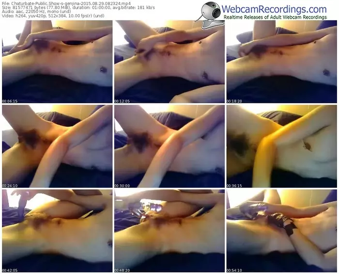 chaturbate-genjina-public-show-08_29_2015-08_23_24