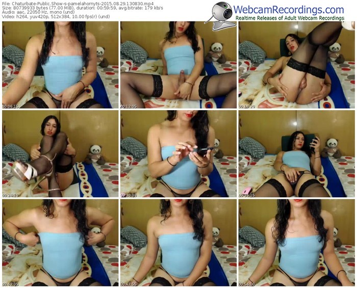 chaturbate-pamelahornyts-public-show-08_29_2015-13_08_30