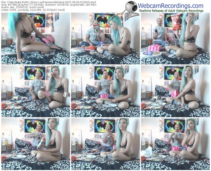 chaturbate-willowswonderland-public-show-08_30_2015-02_20_05